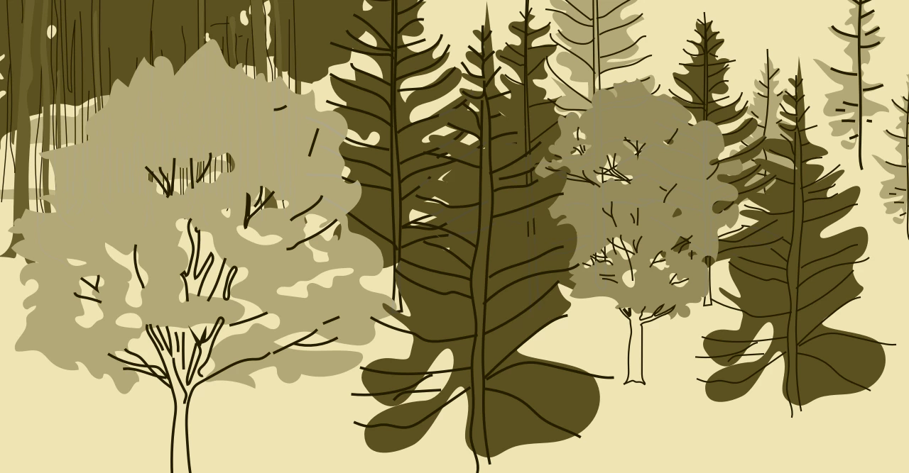 First-year anniversary at SUPERB’s Po Valley Demo photo