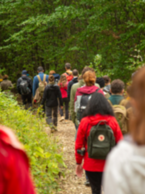 3 stakeholder engagement.png