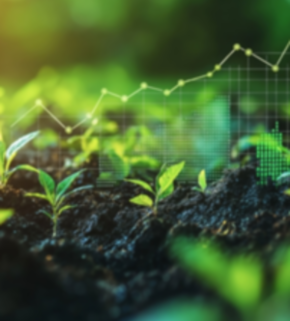 AdobeStock_1053340480 (2).jpeg