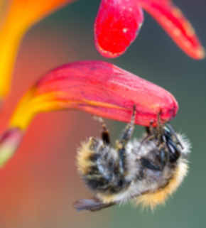 AdobeStock_320007969 (1).jpeg