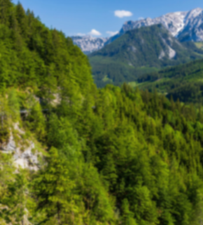 AdobeStock_509882131 (2).jpeg