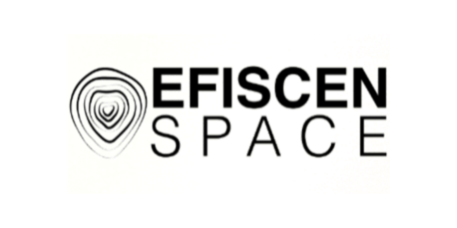 EFISCEN-Space model