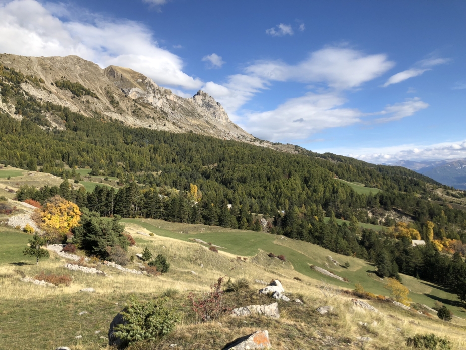 Comments on the draft Nature Restoration Law