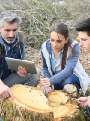 Planning and design 2.jpeg