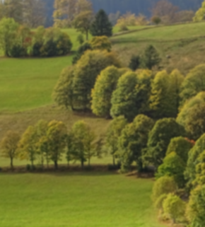 Serrano_León, Hernán. Agroforestry - Todtnau, Schwarzwald.JPG