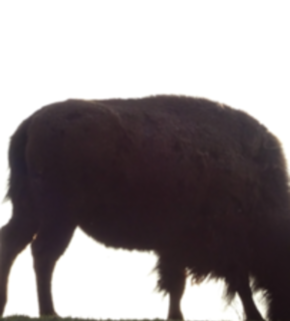 Serrano_León, Hernán. Biodiversity - Mundenhof, Freiburg, Germany.JPG