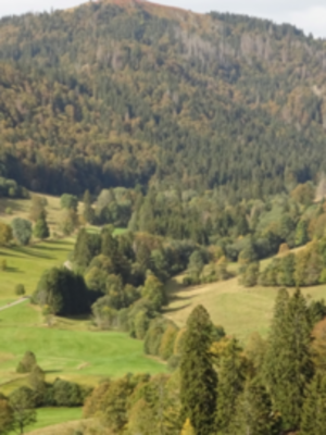 Serrano_León, Hernán. Landscape - Schwarzwald 4 (resize).JPG