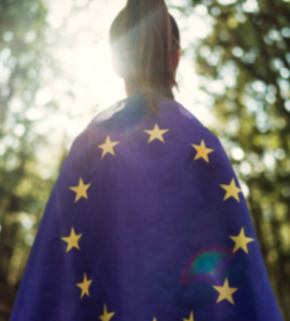 european forests (1).jpeg