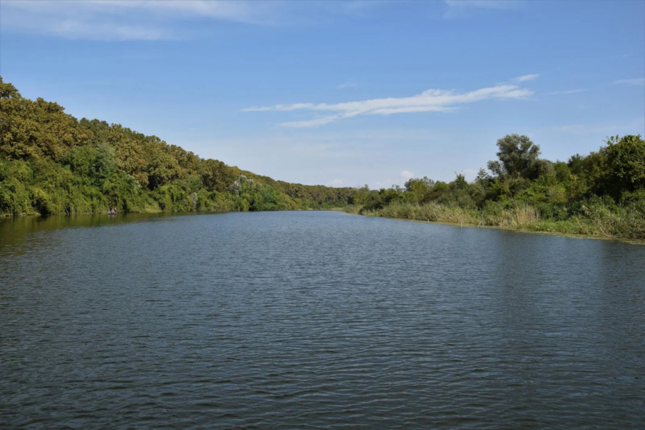 Restoring the “European Amazon”